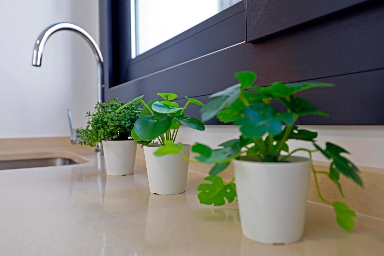 Victoria Suites Apartments Córdoba Kültér fotó